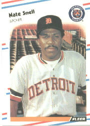 1988 Fleer Baseball Cards      070      Nate Snell